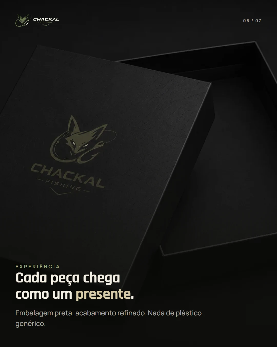 Slide 6 — Apresentação da marca