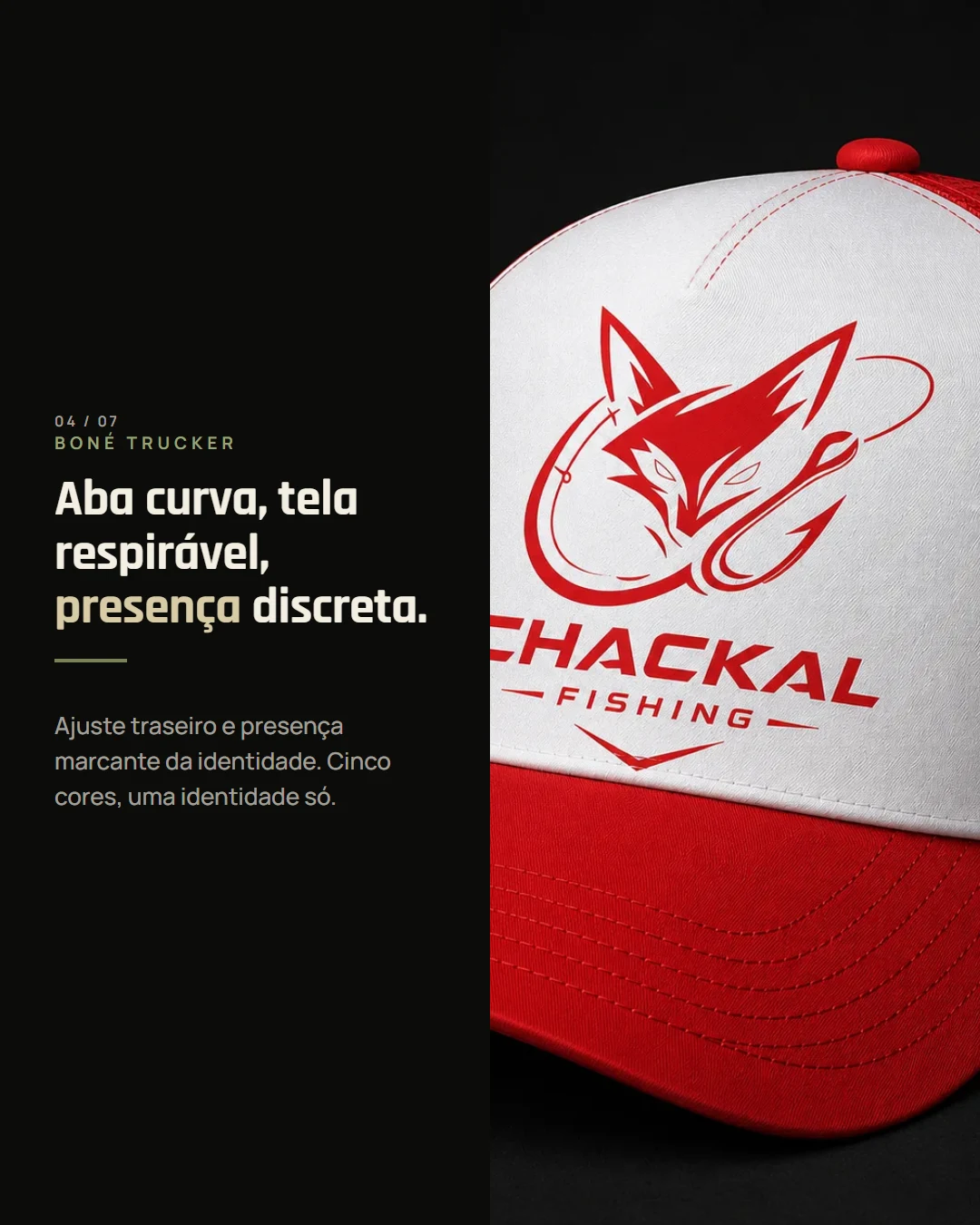 Slide 4 — Coleção