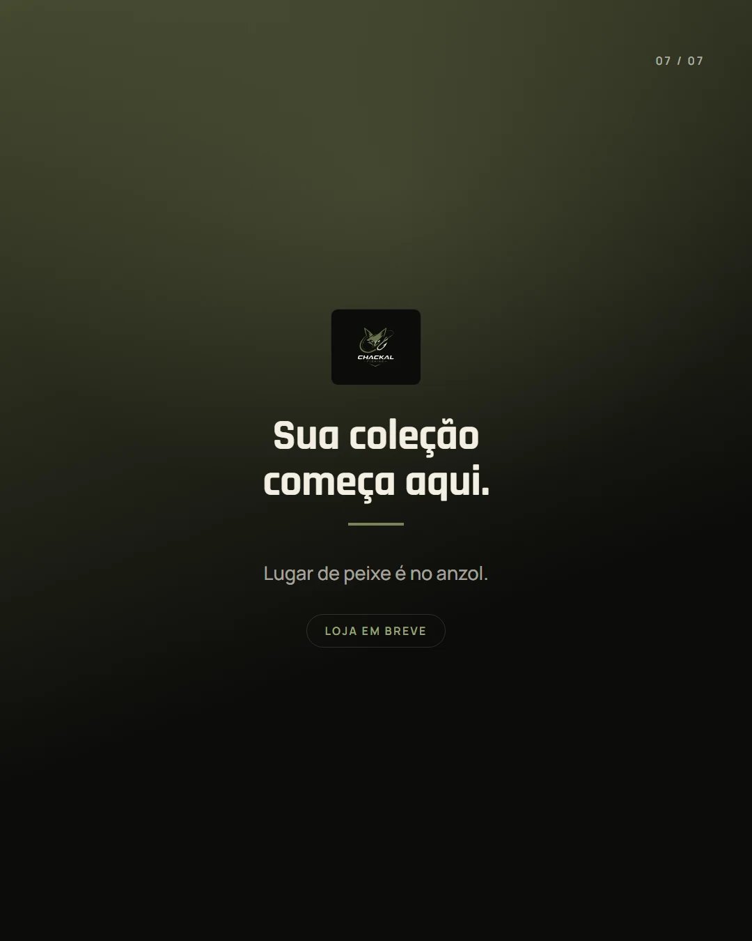 Slide 7 — Coleção